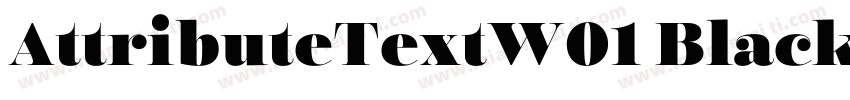 AttributeTextW01 Black Regular字体转换